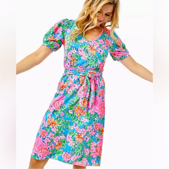 Lilly Pulitzer Dresses & Skirts - LILY PULITZER Isolde Knee Length Dress Rose To The Occasion Coastal Size Small